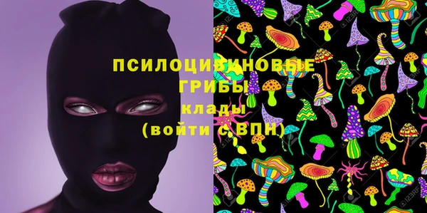 2c-b Арсеньев